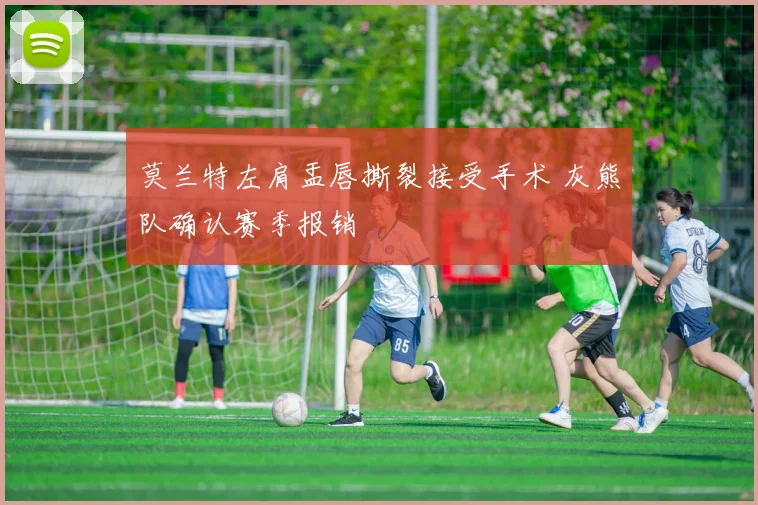 莫兰特左肩盂唇撕裂接受手术 灰熊队确认赛季报销